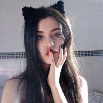 智象语言立体课程下载